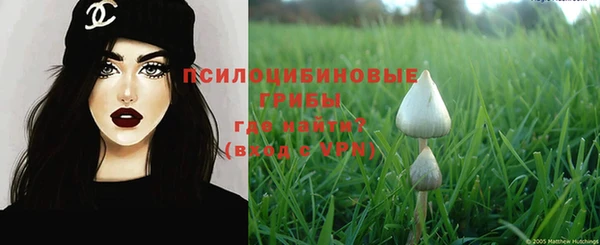 герыч Пересвет